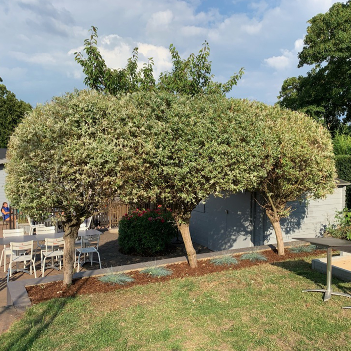 entretiens jardins